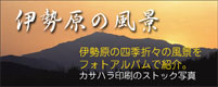 isehara_ph.jpg
