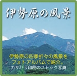 isehara_ph2.jpg